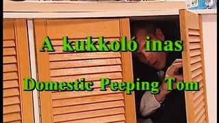 A kukkoló inas - Magyar szinkronos teljes xxx videó