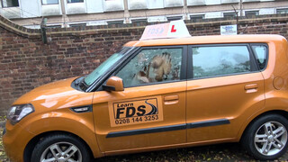 Fake Driving School cuki japán csajszi kúrni akar
